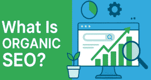 What Is Organic SEO