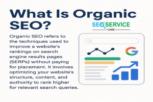 What Is Organic SEO